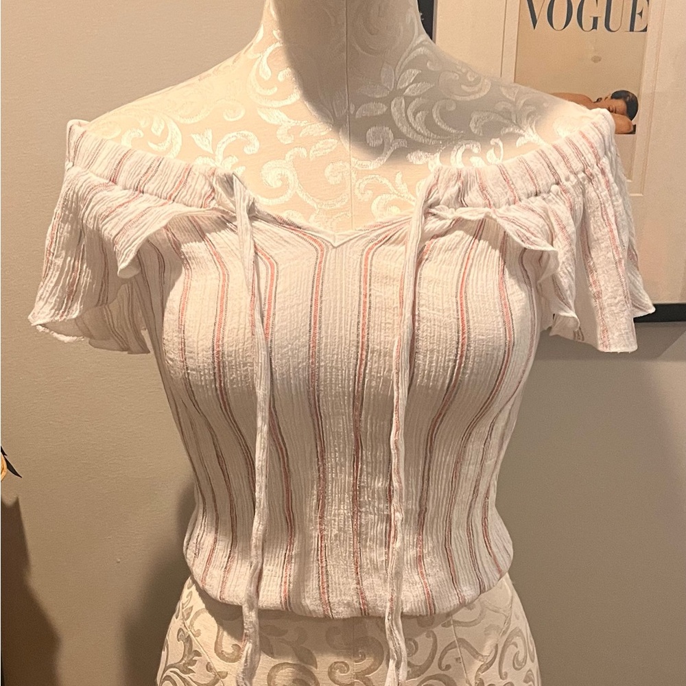 Vintage Havana stripped crop top